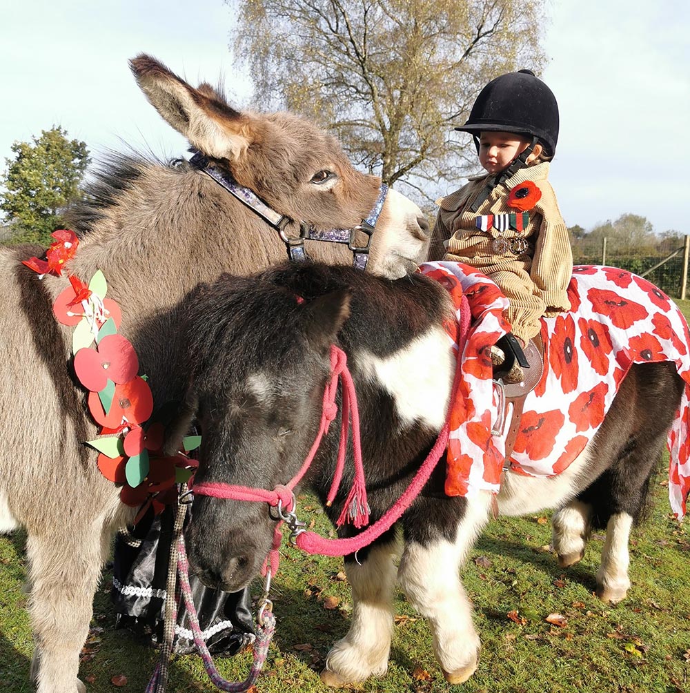 If ever a pony is one in a million.......@Verity and The Pony Pals